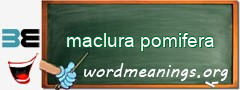 WordMeaning blackboard for maclura pomifera
